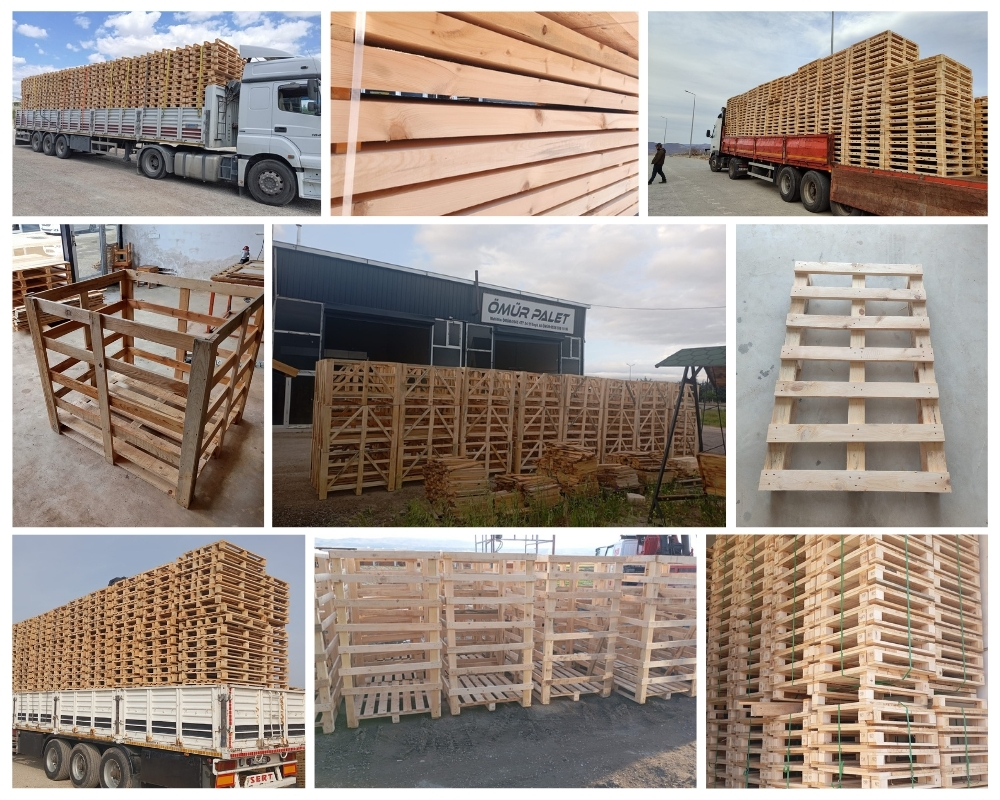 Wadenoijen Houten Kisten, Europallets Groothandel Kopen